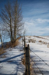 FenceLine