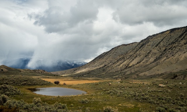 Landscape YNP (1 of 1)