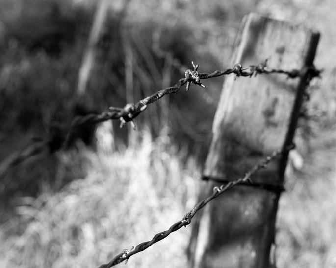 Travis_Homestead_Barbwire_BW