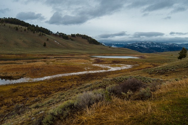 YNP view (1 of 1)